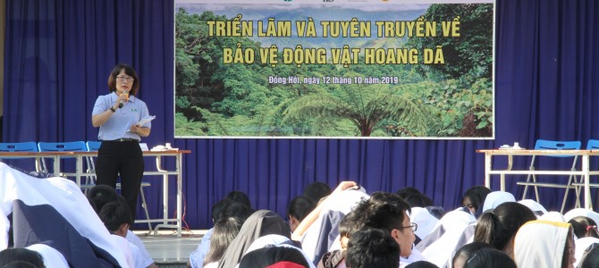 Triển lãm và tuyên truyền về bảo vệ động vật hoang dã Triển lãm và tuyên truyền về bảo vệ động vật hoang dã
